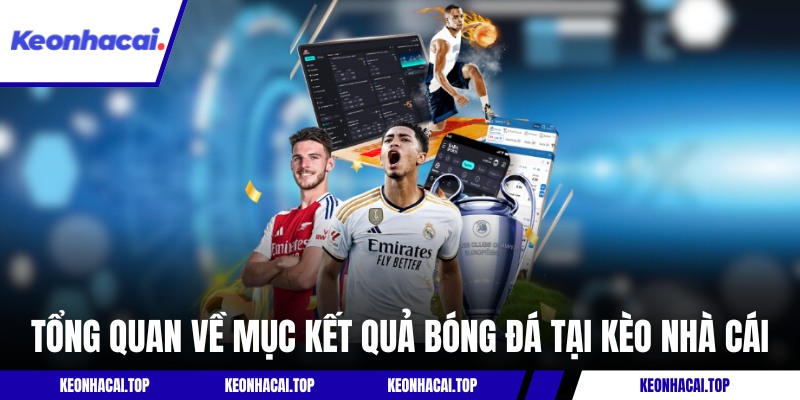 Tổng quan về mục kết quả bóng đá tại Kèo Nhà Cái
